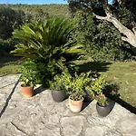 Nyaraló Maison De Torricella Avec Piscine Saint-florent