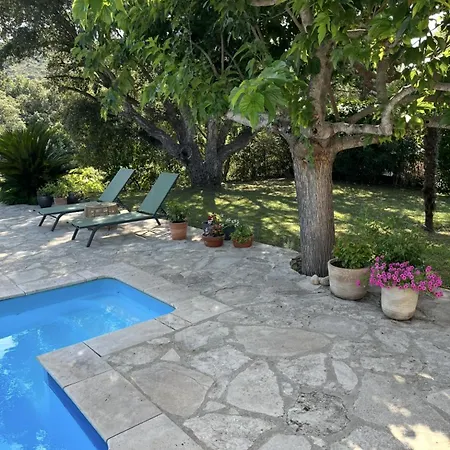 Maison De Torricella Avec Piscine Saint-florent בית נופש *