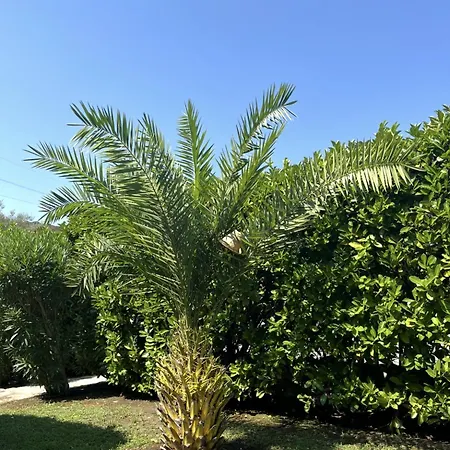 Maison De Torricella Avec Piscine Saint-florent בית נופש