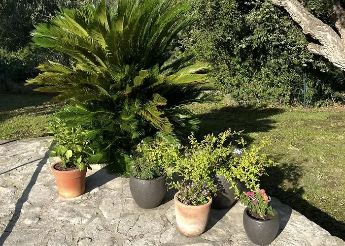 Σπίτι διακοπών Maison De Torricella Avec Piscine Saint-florent